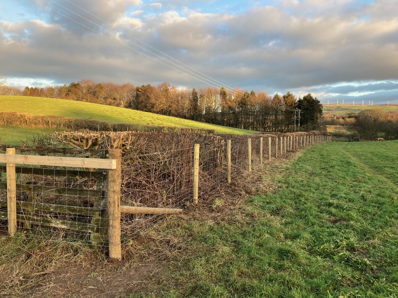 New Fencing – Hermitage Field Community Meadow