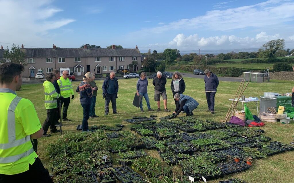 Volunteers getting ready to plant out wildflower plugs at Manor Crescent